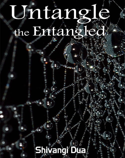 Untangle-the-Entangled